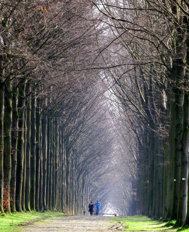　４月９日　（金）　晴　　８時ルクセンブルグを出発<br />１０時半にモターブ城に到着しました。　<br />ここは城に続く並木道で、時代の変遷を感じます。<br />