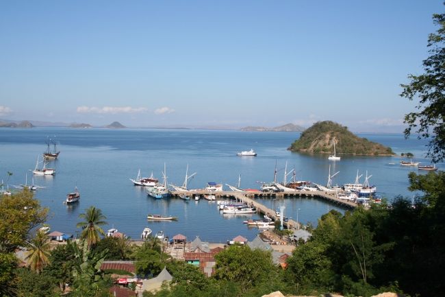 コモド諸島の玄関口となるフローレス島ラブハンバンジョー