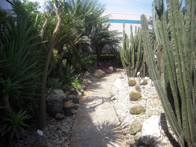 空港にはサボテン園もあり。<br />バーもあり、喫煙所の役目も果たしてました。