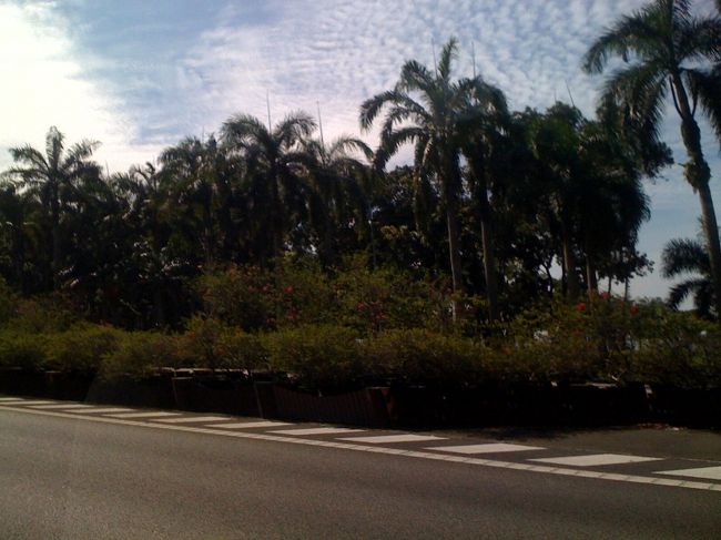 ホテルのシャトルバスで、空港へと向かう。<br />南国っぽい！