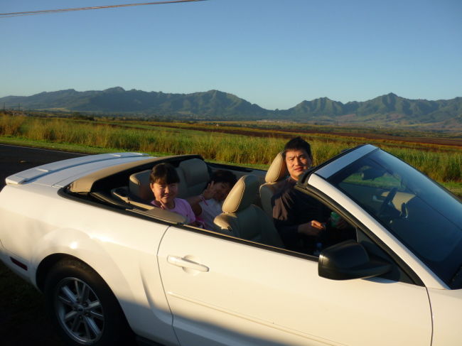 今回は思い切ってコンバーチブル