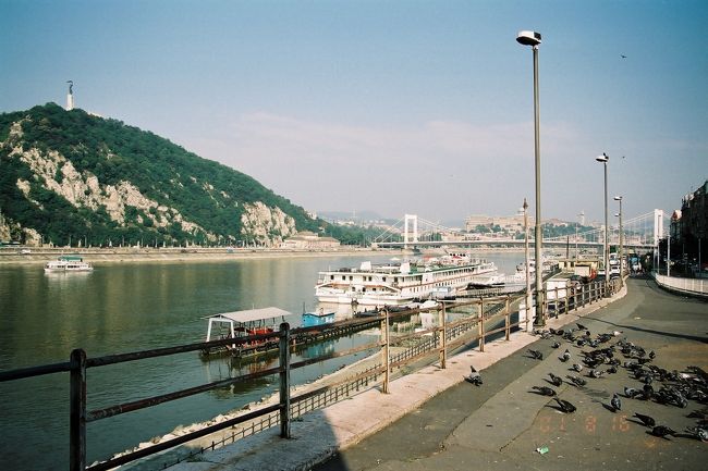 ドナウ川を船でウイーンまで移動しようとしましたが切符が買えず、、、、