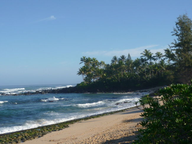 亀がよく甲羅干しをしているラニアケアビーチの1つ手前のビーチ(名前は失念しました）サーファーがたくさん沖に出てました。