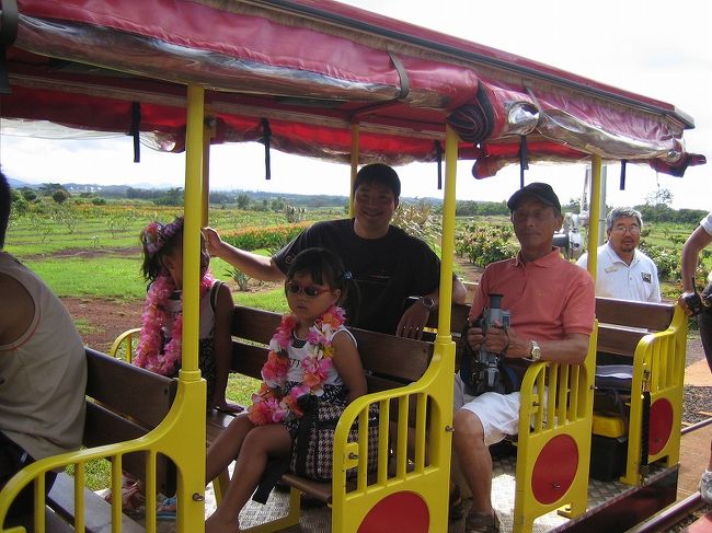 今回は寄りませんでしたが、ドールプランテーションにはミニ機関車あり巨大迷路ありのちょっと一休みにちょうどいいドライブインになっています。<br />(05年10月の画像ですがご参考に）