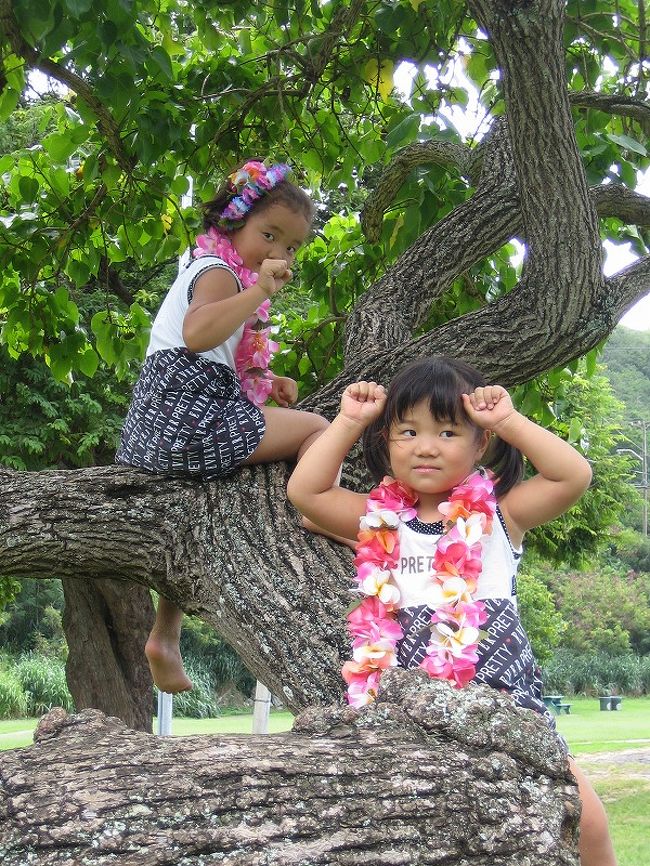 この画像がもとで同じところで撮ろうと思って<br />(こっちが05年10月の画像ですが）同じアングルなんて忘れました。