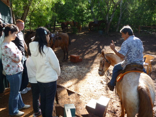 ハッピートレイルズの乗馬に参加、１．５時間コースで80ドルほど