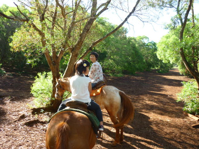 馬は大変よく調教されているので8歳の下の娘でも1人で乗ります。