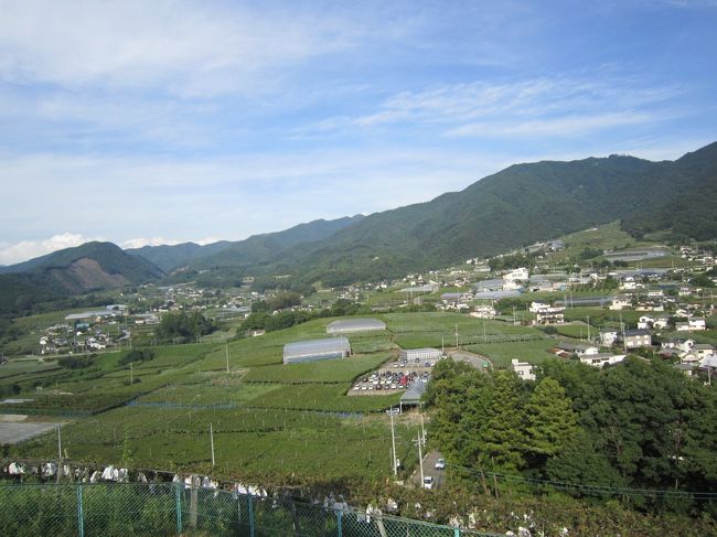 ぶどうの丘というだけあって、周りは全てぶどう畑。<br />さすがだなぁ。