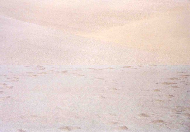 見渡す限り…砂。つい、アフリカの砂漠にいる気分に。