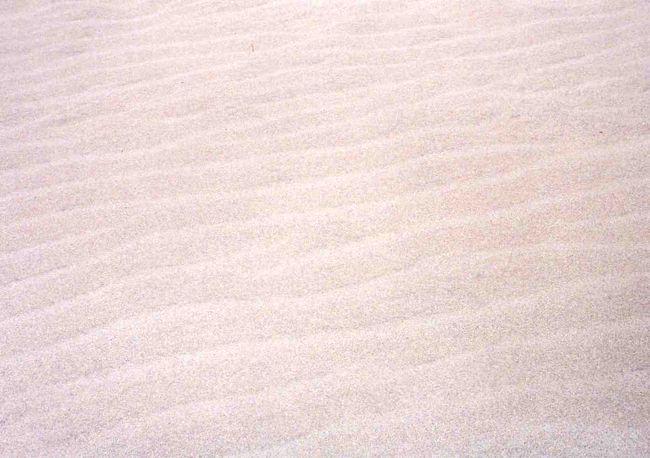 風で砂にできる模様は風紋と呼ぶそうです。<br />この日は風が強く、風紋がどんどん変化していました。