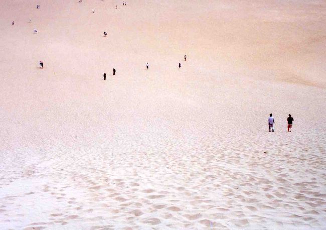砂丘の上からの景色。
