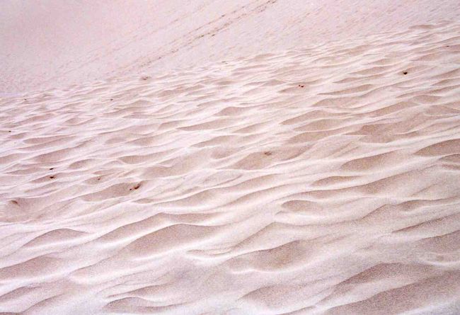 また違う風紋です。