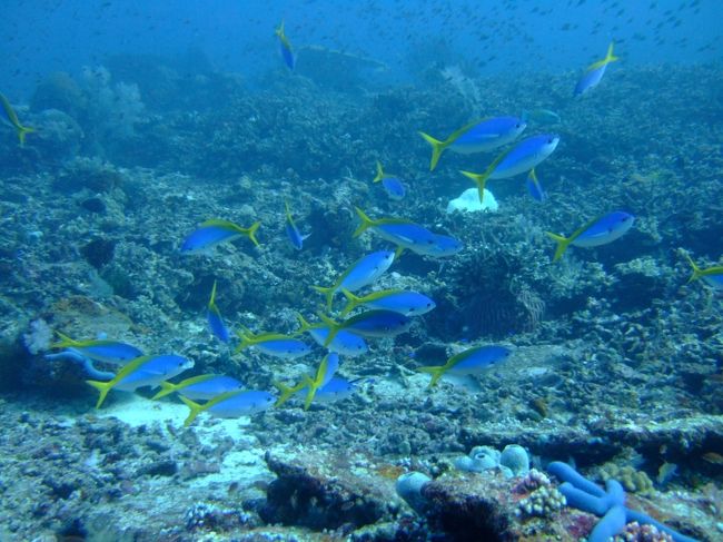 1本目<br /><br />ポイント：Castle Rock