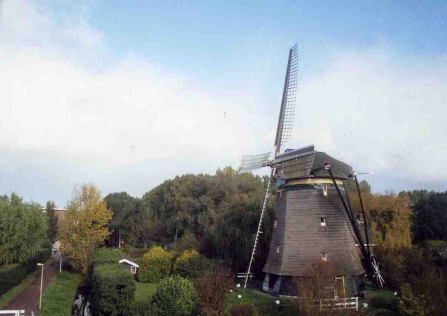 電車でアムステルダムに向かう途中に風車が！！<br />オランダに来たと実感。