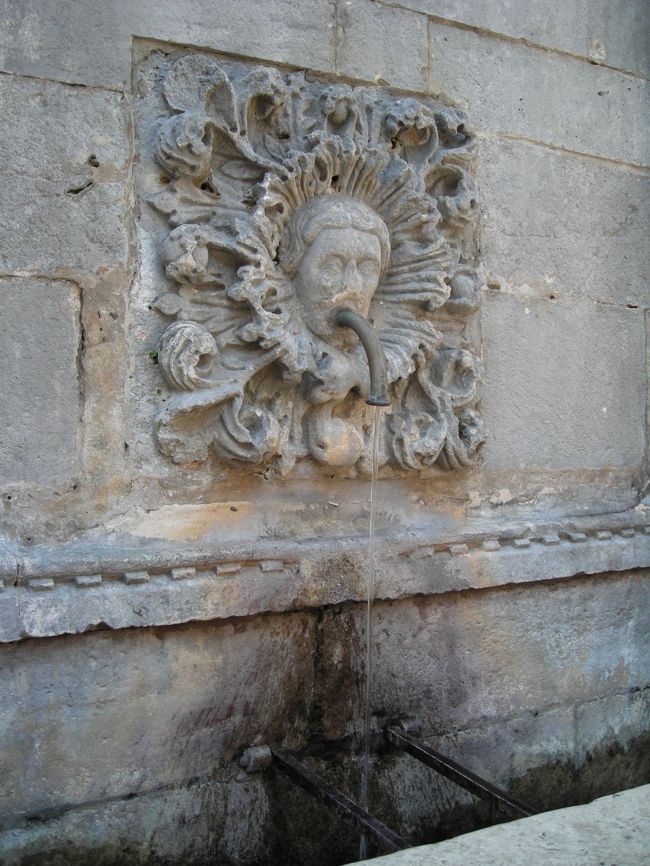 飲めるらしいですが、飲みませんでした。<br />水は冷たくて気持ちよかったです。<br /><br />しかし、お口から「げーーー」って水を出しているわけですよねーーんーー