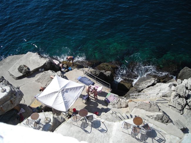 よーーく見てみてると・・泳いでます。