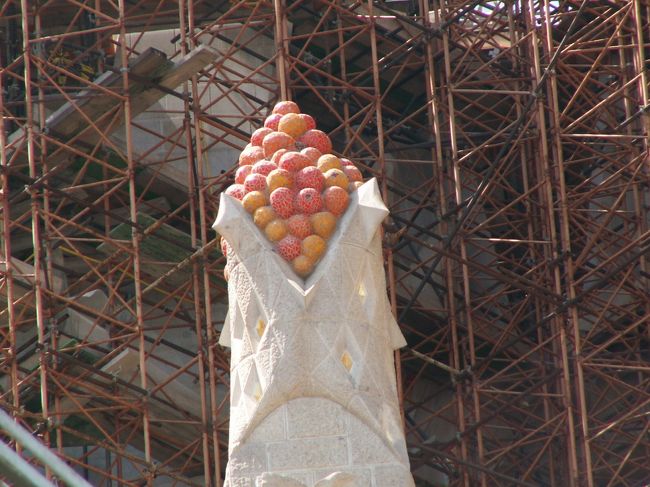 成長し続けている教会。<br /><br />我が家の子供たちが大人になった頃、どちらもどう変わっているか楽しみです♪