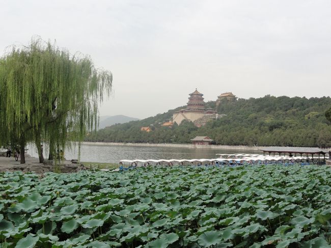 最初の観光は世界遺産の頤和園<br /><br />広いので沢山歩きました