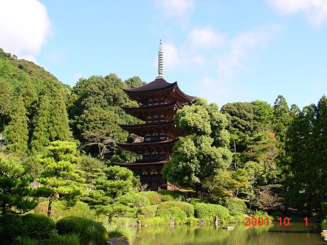 山口県　日本三名橋の錦帯橋から、秋吉台・瑠璃光寺を経て日本海へ