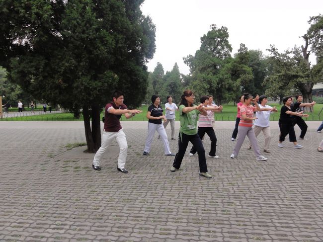 簡単な動きにはついていけても