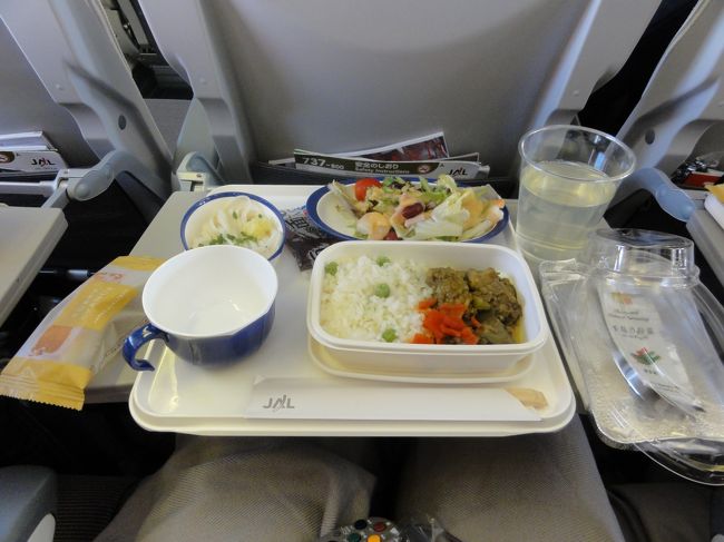 機内食はカレー<br /><br />