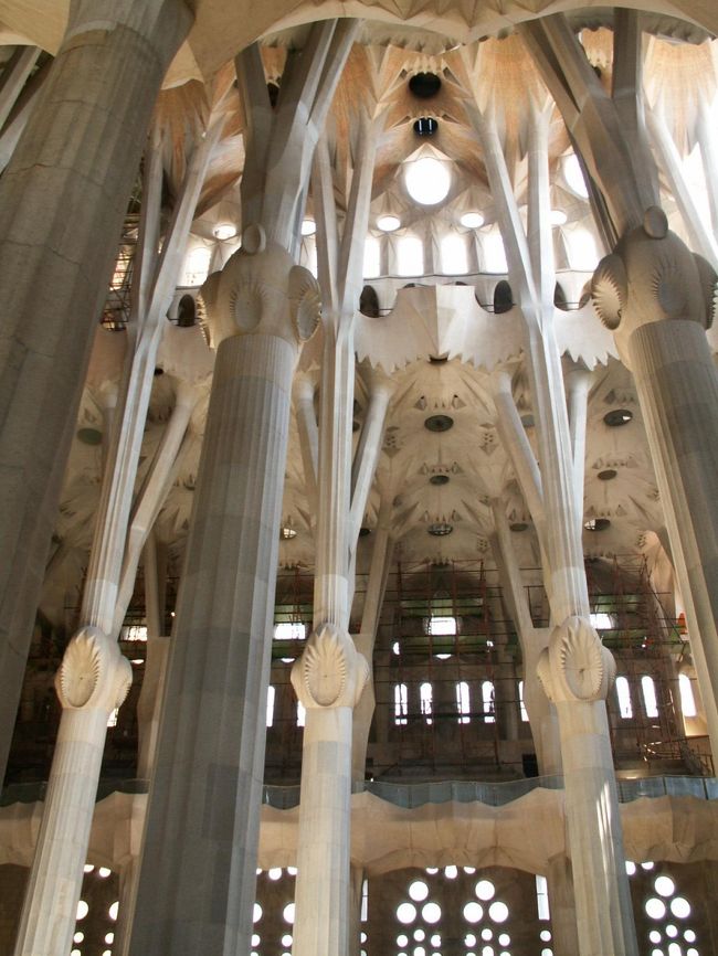 教会内部に生い茂る森の美しさと静けさを再現したかったそうです。<br />節目を起点に枝分かれしています。