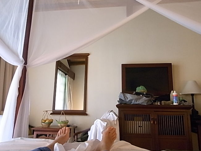朝食をたくさん食べたら<br />早起きしすぎたので2度寝<br /><br />この旅で気がついた事は、<br /><br />暑い日中は昼寝するのがいい　ということ<br /><br />今までだったら時間が勿体なくて動きまわっていたのだが、<br />日の出くらいに活動して　昼は暑いからおひるね　という合理的な贅沢こそこのホテルにふさわしいと感じた。入口のめがねを下して。