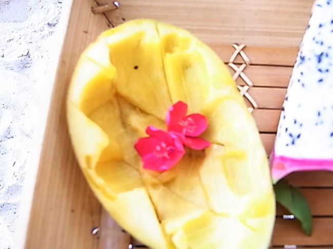 偶然　おはなが！！南国らしい絵にニヤリ