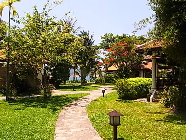 この鮮やかな緑もつよいひざしも<br /><br /><br />忘れがたい<br />また来たい