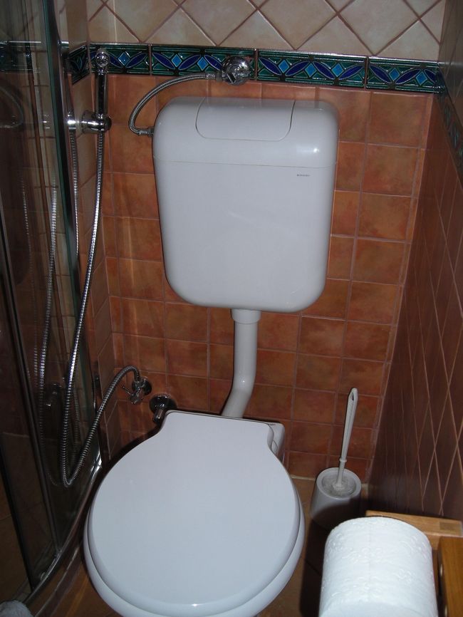 夫が「シャワートイレだ！」と言って喜んでいる。えっ？と思って覗くと・・・・シャワーってこれ？本物のシャワーだよーー！これでお尻を洗うの？・・はい。洗ってました。<br />