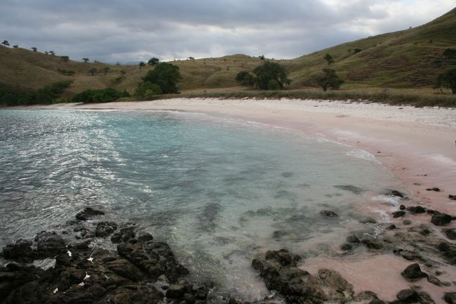 ピンクビーチ<br /><br />赤いクダサンゴ（オルガンパイプコーラル）が砕けて砂浜に溶け込んでいるため、ピンク色に見えます。<br /><br />遠目に見たときはあまり分かりませんでしたが、近くで見るとほんとにピンク色でした。