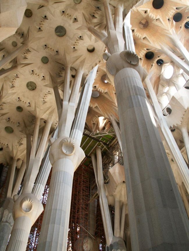 丸天井のデザインは殉教のシンボルであるシュロの葉になっています。<br />葉と葉のつなぎ目の凹凸は採光の役割も果たしています。<br /><br />さらに天井の隙間には、ガウディが考案した散光器がはめ込まれています。