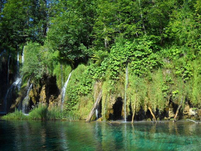 しょぼしょぼの滝。