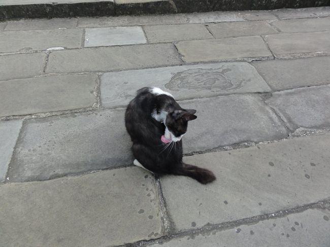 天主堂のまんまえに猫が･･･。全く移動する気配なし。ここの主なのでしょう。