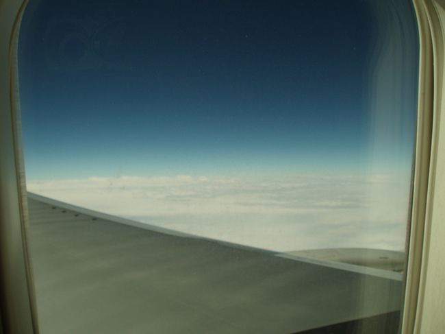 景色(?)を楽しむ暇なく．．