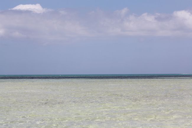 Blue Birdを求めて ビキニアイランド Guam グアム グアム の旅行記 ブログ By ぽんで あやこさん フォートラベル