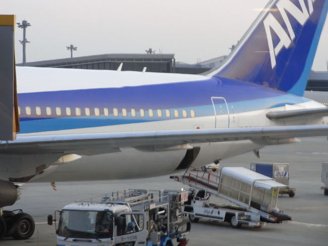 今回もＡＮＡにお世話になります。<br />あっ、マイレージカード忘れちゃった。<br />でも、係員に告げて、ポイントを付けてもらいました。