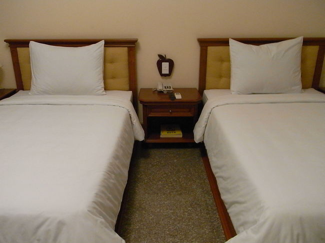 ベッドは、丁度良い硬さ。<br />枕は私には高いので、バスタオルを使わずに枕替わりにしよう。<br />と、思いつつ忘れてバスタオルを使う。