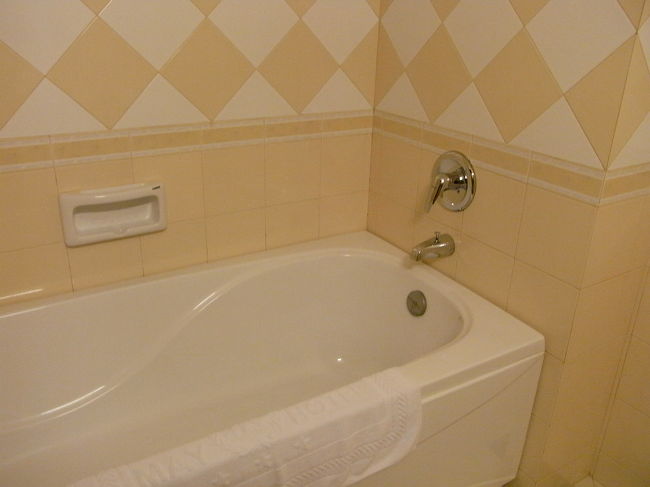 バスタブ。<br />お湯は溜めていたら少しぬるくなりました。<br />少し時間を置けばまた出ます。<br /><br />不安なので、シャワーで通しました。