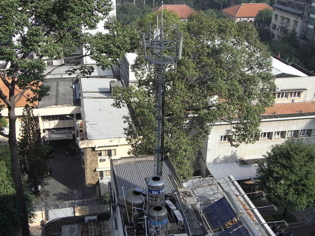 立派なアンテナだ〜。