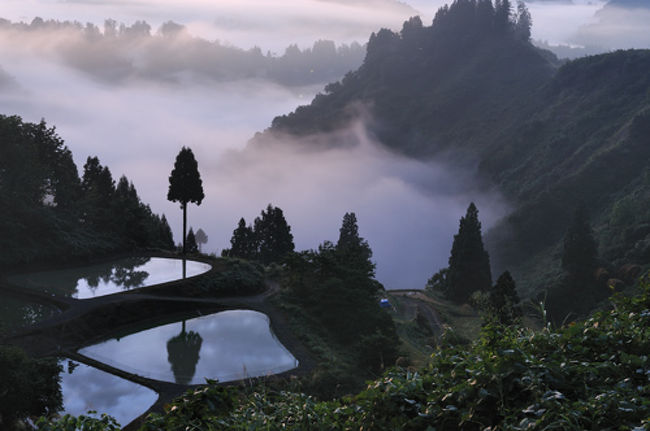 新潟 山古志 棚田 長岡 寺泊 新潟県 の旅行記 ブログ By Odekakekunさん フォートラベル