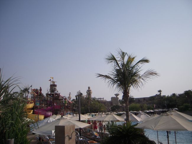 しばしの部屋休憩の後（爆睡しました）、ワイルドワディへ！<br />ご存じの方も多いと思いますが、ジュメイラグループのホテル宿泊者は無料で入場できるのです！<br />入場料が195Dhs（約5000円くらい）するのが無料になるなんて行かない理由がないでしょう！<br />一人でこういう所行くって相当痛い気がして悩んだんですが、旅の恥はかき捨てということで！日本ではいけないなあ。
