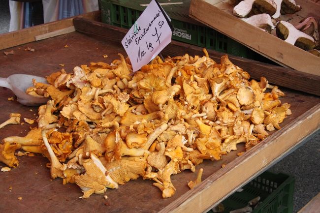 秋の味覚　きのこ（アンズタケ？）<br /><br />1/2Kg  7.5ユーロ
