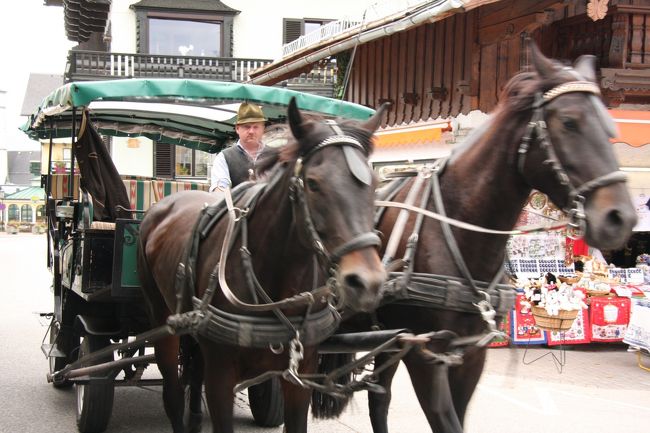 観光馬車が通りかかった。<br />振り向いたら間近だったので、動体撮影の設定はできなかった。<br />でも動きが感じられて悪くはないでしょう。（言い訳）
