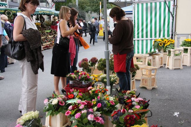 花屋の店先<br /><br />マダムの呟き：ドレニシヨウカシラ