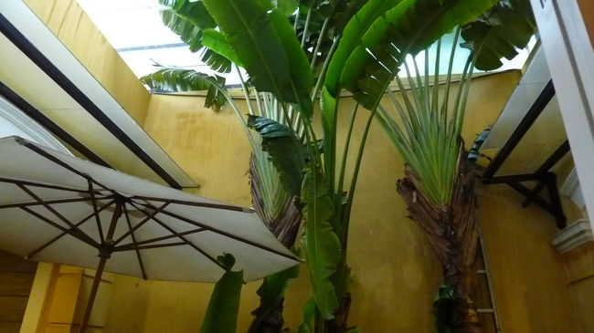 席は、ステキな中庭に面したテーブルで。<br /><br />と、この後料理が来始めた頃から一転俄かに掻き曇り・・・<br />雷を伴うスコールでハンパない雨に見舞われるのでした〜！！<br /><br />慌てて窓を閉めて、何とかランチ続行（汗）