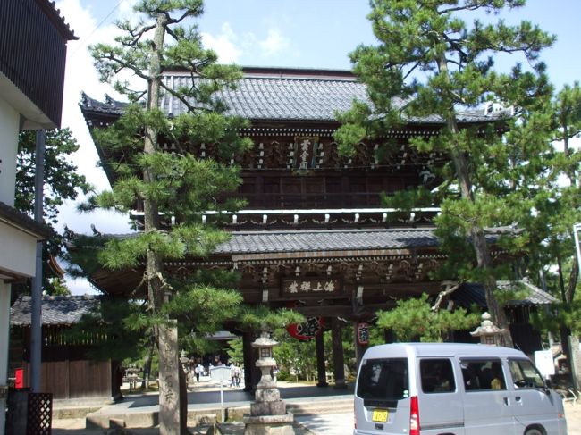 天橋立 福井−敦賀 うけ