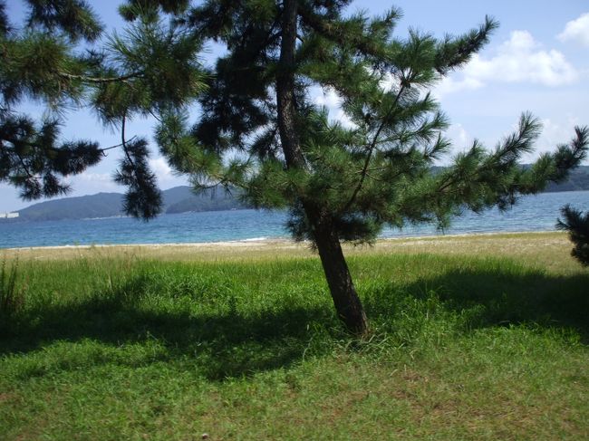 天橋立から敦賀へ 10.09』天橋立・宮津(京都)の旅行記・ブログ