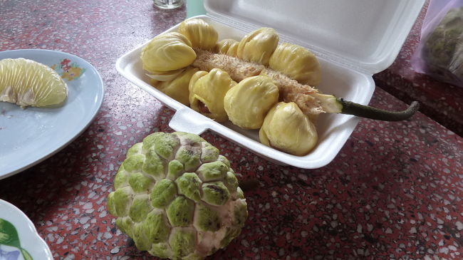 さっき道で買った、これは食べたいと思っていた、ジャックフルーツとカスタードアップルもここで頂きました。<br /><br />ジャックフルーツは、チップスになっていると良い香り、生だとちょっとクセがあって、私はムリでした〜（泣）<br />ドリアンは平気なんだけどな〜。<br />カスタードアップルは一番美味しかった〜。<br />トロッとした洋梨と、柔らかい種類のリンゴの中間って感じ。<br />中に種が沢山あったけど、完食でした！！