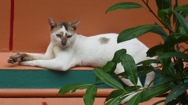 きれいな子ね〜♪